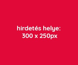 300x250